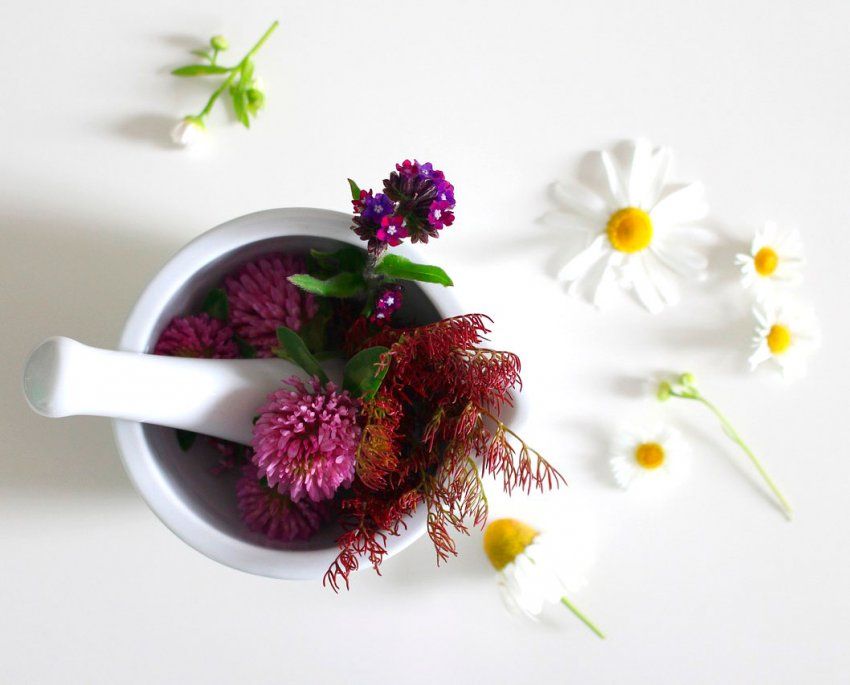 Productos de fitoterapia